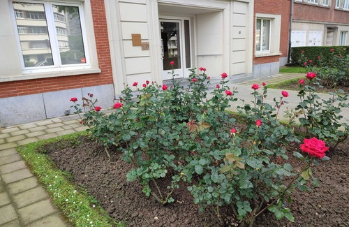 Etterbeek Appartement | Homerez - Apt. Etterbeek with balcony