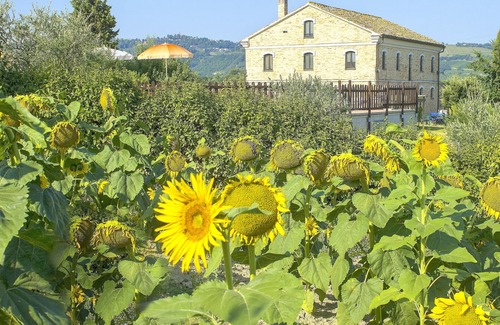 Montecarotto Villa | Homerez - Grande villa pour 20 pers. avec piscine à Montecarotto
