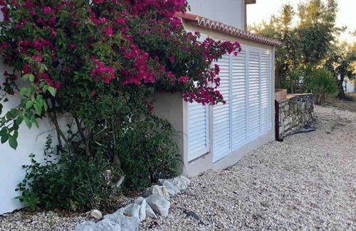 Pedrogao Villa | Homerez - Charming villa in Casais de São Brás, jacuzzi