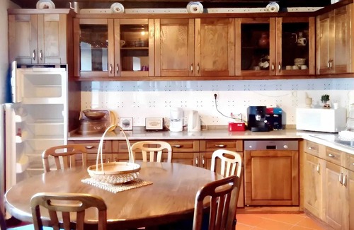 Castro Daire Villa | Homerez - Charmante villa à Vila Seca avec piscine privée
