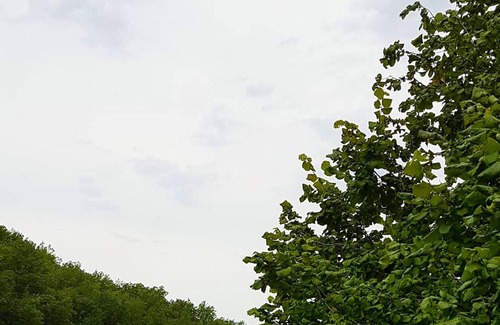 Sauveterre Maison | Homerez - House for 4 ppl. with swimming-pool, garden and terrace at Sauveterre