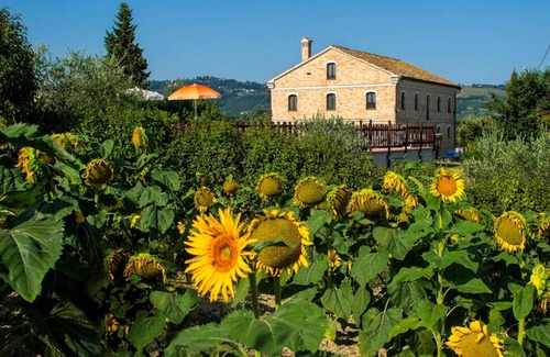 Montecarotto Maison | Homerez - House in Montecarotto
