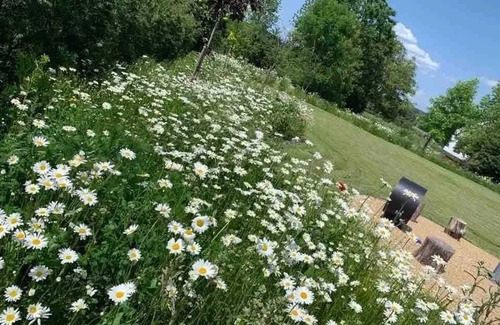 Gouvy Maison | Homerez - Maison avec jacuzzi à Gouvy / 80 m²