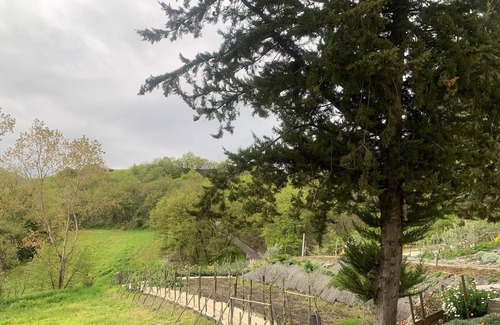 Civitaquana Maison | Homerez - Maison pour 7 pers. avec piscine, jardin et terrasse à Civitaquana