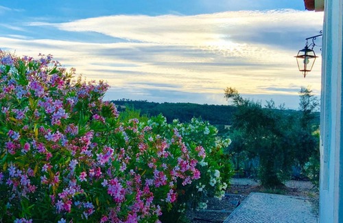 Pedrogao Villa | Homerez - Villa pour 5 pers. avec piscine partagée, jacuzzi, jardin et terrasse