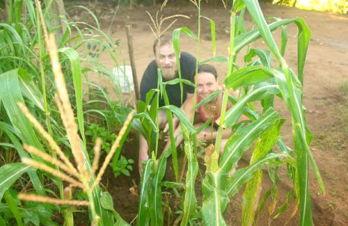 Anuradhapura Autre | HOMESTAY CAMPING ANURADHAPURA