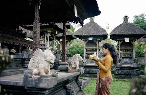 Taro Maison | Homestay D'BANDEM