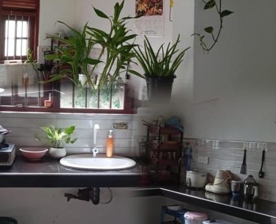 Welipitiya Maison | Homestay in Naturals Village