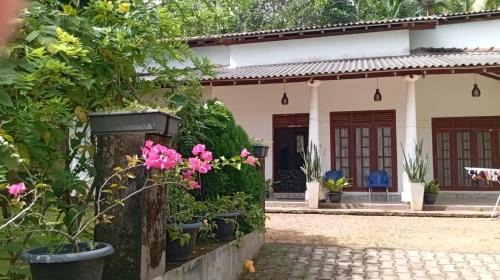 Welipitiya Maison | Homestay in Naturals Village