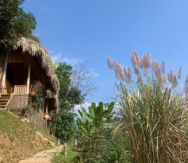 Thong Nguyen Cabine | Homestay Khoáng nóng Thông Nguyên
