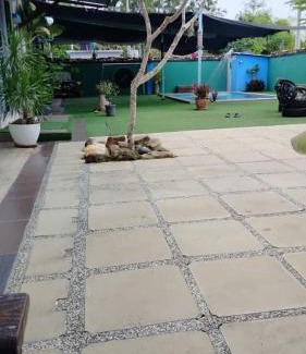 Changlun Maison | Homestay Megat & Puteri
