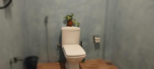 Midigama Cabine | Homestay Midigama East, Free Washer, Wi-Fi