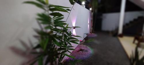 Midigama Cabine | Homestay Midigama East, Free Washer, Wi-Fi