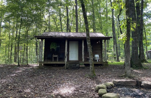 Pettigrew Cabine | Homestead Cabin in the Ozarks, w/ a view!
