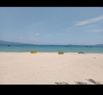 Song Cau Maison | Homstay Nhà Mập