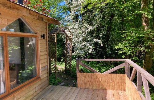 Llandysul Cabine | Honey Bee Cabin