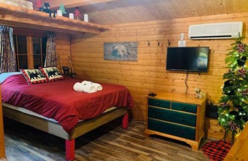 Hayward Maison | Honeybear Hideaway Cabin