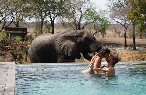 Thorny Bush Game Reserve Hôtel | Honeyguide Tented Safari Camps - Mantobeni
