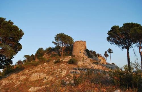 Lanzara Appartement | Horizon