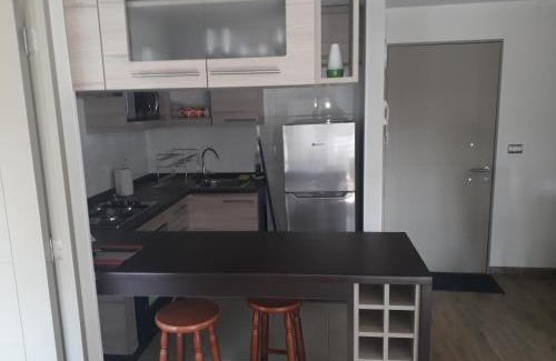 Placeres Appartement | Horizonte Infinito Viña del Mar