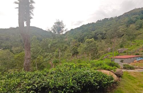 Kotagiri Station Balnéaire | Hornbill Jungle Resort Kotagiri