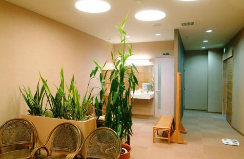 Numata Hôtel | Horoshin Onsen Hotarukan