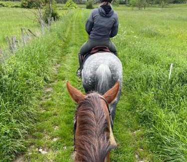Villalet Appartement | Horse Cottage