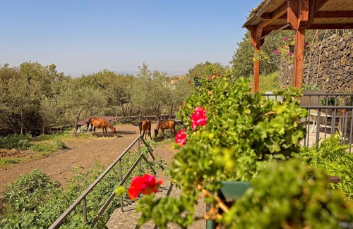 Ragalna Villa | Etna, nature, calme et chevaux