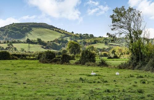 Weston-super-Mare Maison | Horseshoe Cottage-Uk37360