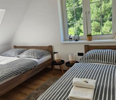 Bela pod Pradedem Appartement | Horský apartmán MIKI