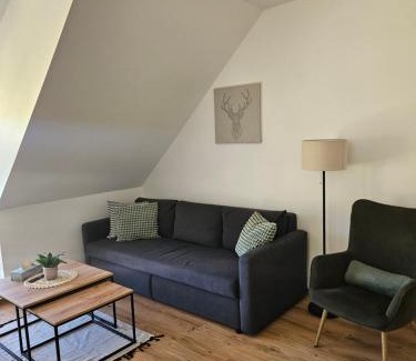 Bela pod Pradedem Appartement | Horský apartmán MIKI