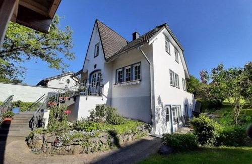 Munstermaifeld Maison | Hortensia Mosel Comfortable holiday residence