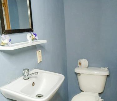 Coco Appartement | Hospedaje Combi dream bird