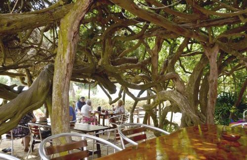 Playa des Figueral Maison | Hostal Alocs