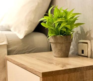 Abena Maison | Hostal Escartín