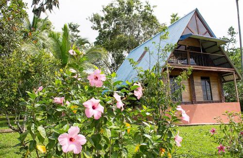 Toabre Maison | Hostal Finca Ely