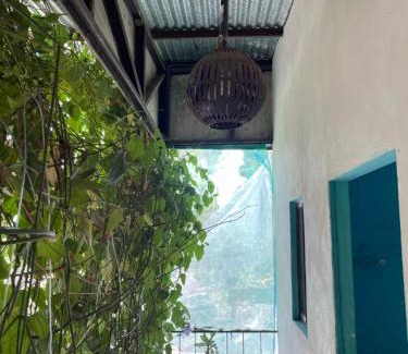 Moyogalpa Lit Et Petit-Déjeuner | Hostal Isla Natal