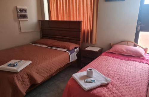 Toro Toro Maison | Hostal La Extincion