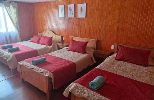 Llanquihue Maison | Hostal La nona