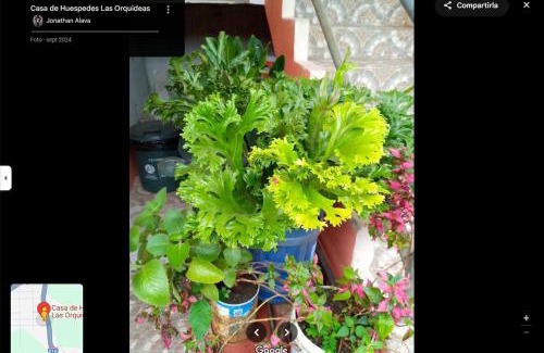 Tarapoa Appartement | Hostal las orquideas