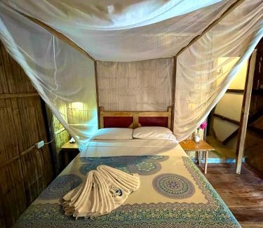 Canoa Maison | Hostal Olmito Canoa