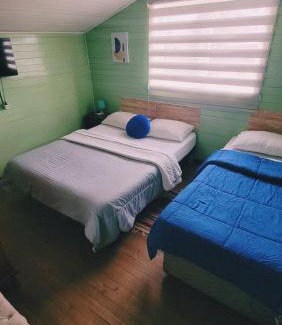 Osorno Maison | Hostal Paradise Blue
