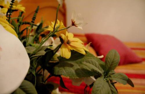 Valladolid Maison | Hostal Ramón y Cajal