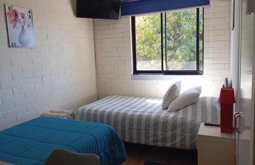 Curico Lit Et Petit-Déjeuner | Hostal Rucatremo