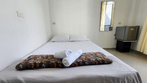 San Luis Maison | Hostal SHELTER LA PERLA - San luis, Antioquia, Colombia