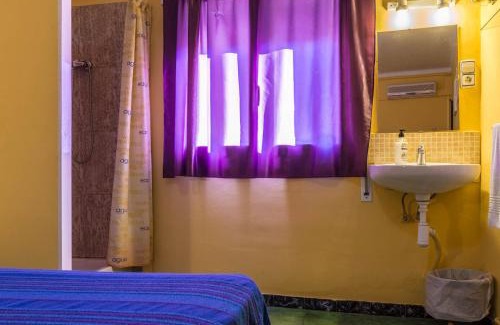Balaguer Maison | Hostal Urgell