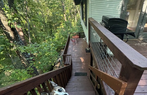 Lake Lure Maison | Charming home with Hot tub, large deck, gas fire place and WiFi in Lake Lure