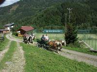 Duernstein in der Steiermark Hôtel | Hôtel ∙ 1 chambre ∙ 1 personne