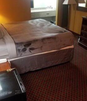 Stillwater Appartement | Hotel 2 Queens Beds Hotel Room 127