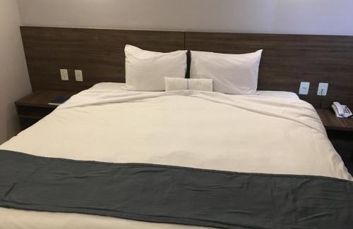 Goiana Hôtel | Hotel Abba Goiana PE